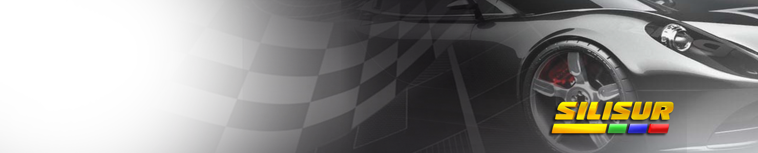 silisur